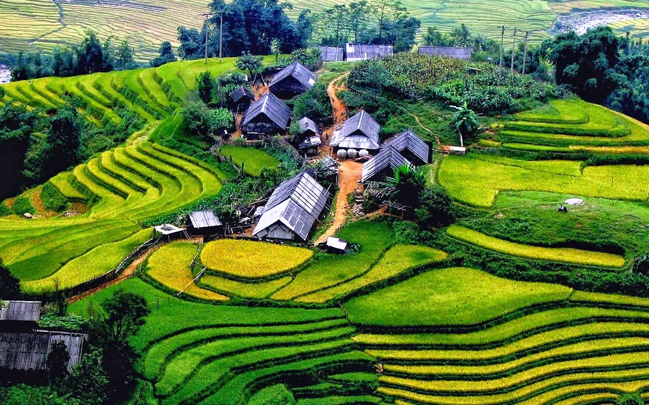 The breathtaking terraced rice fields of Sapa